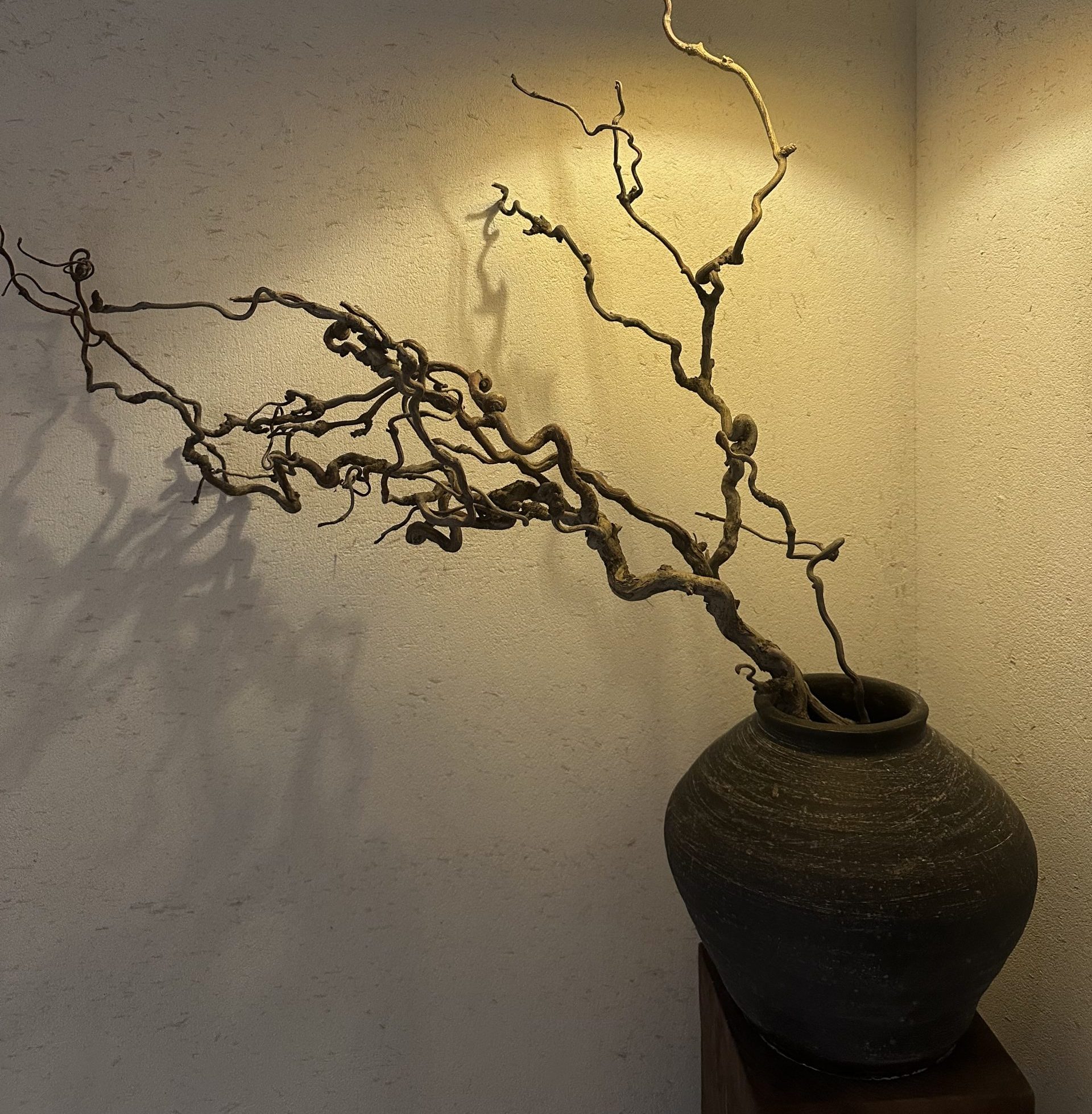 Mini Art Tour Recap – Chengdu