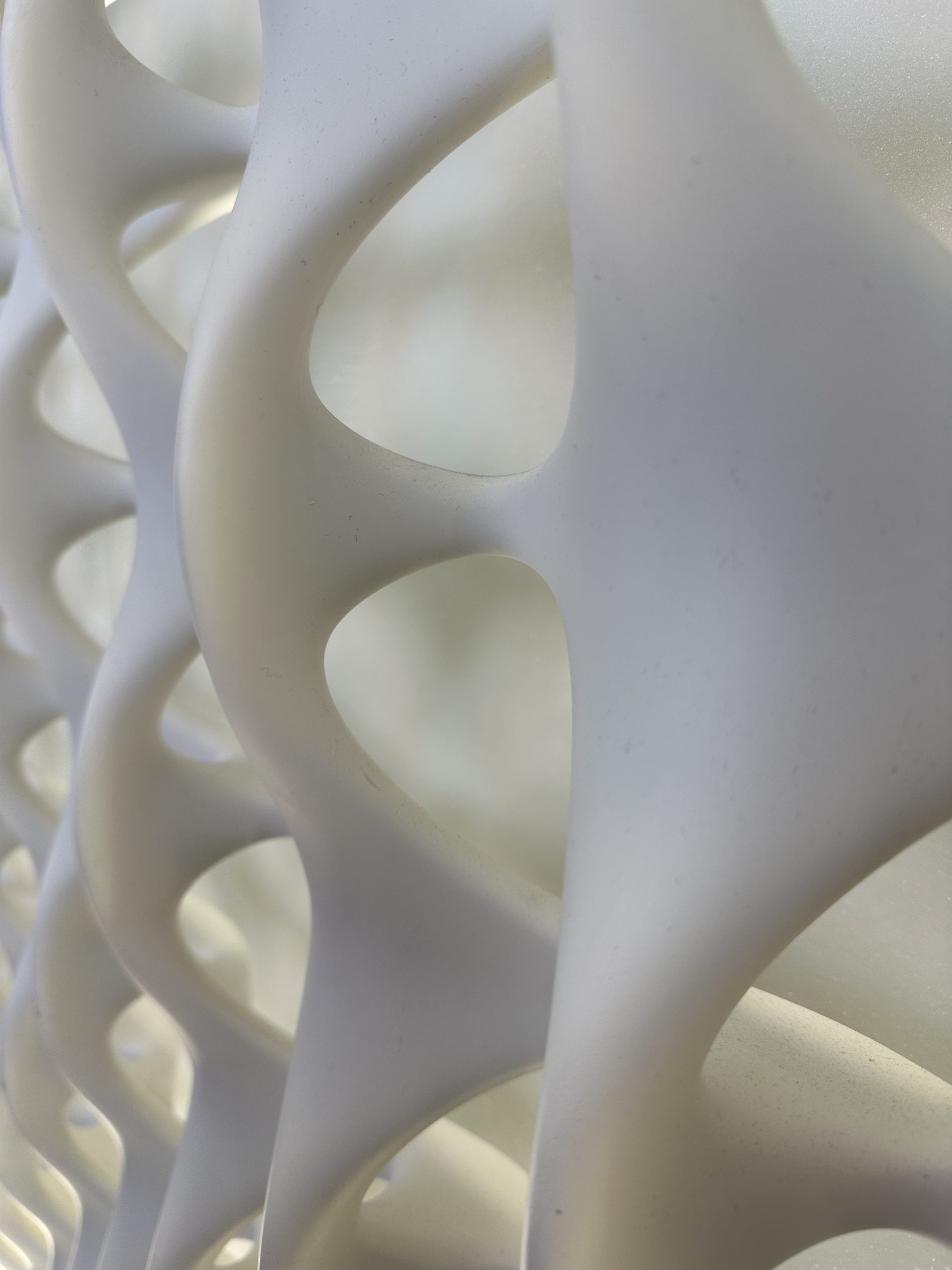 Nouvelle Histoire Brice Reiter